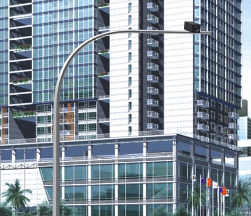 6.5米单叉监控杆